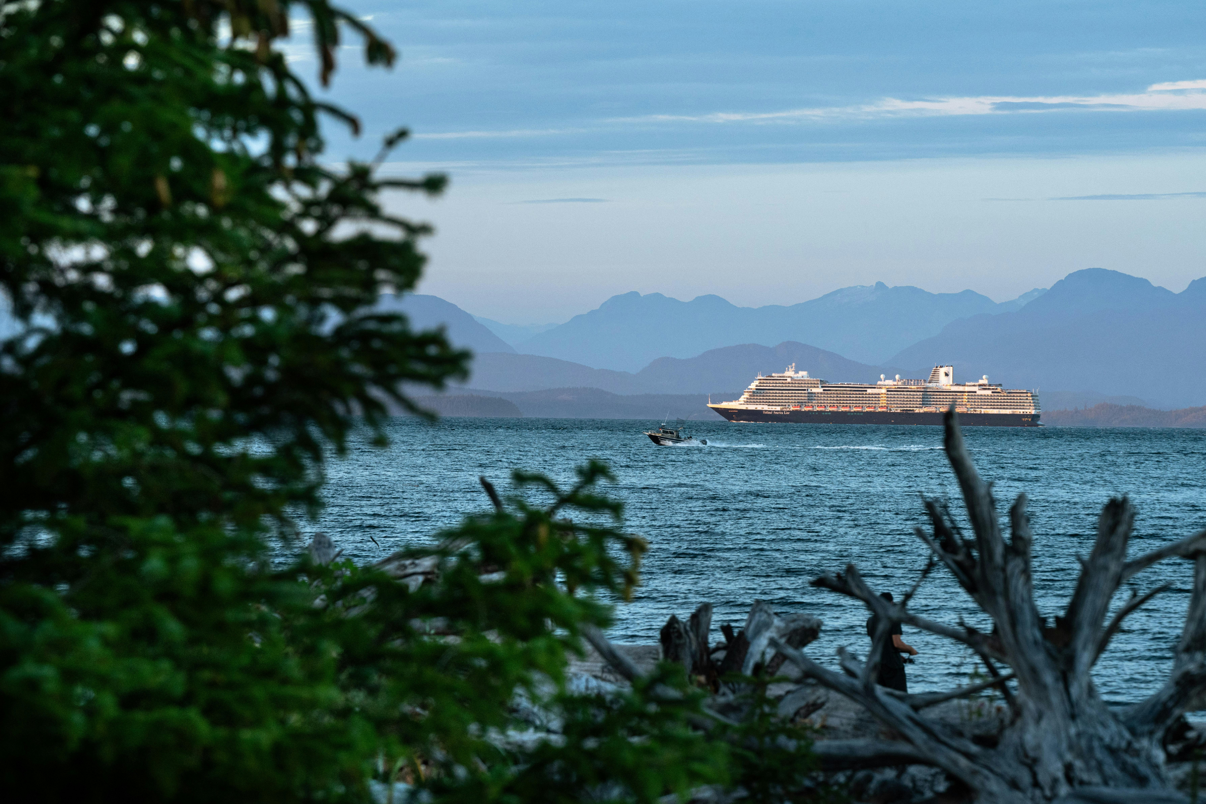 pine island, british columbia.webp